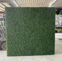 IMG 3604 1713892277 1718302770 2 Boxwood Hedge Wall Backdrop